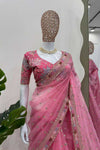 Tissue Organza Silk Embroidered Saree with Lace Border