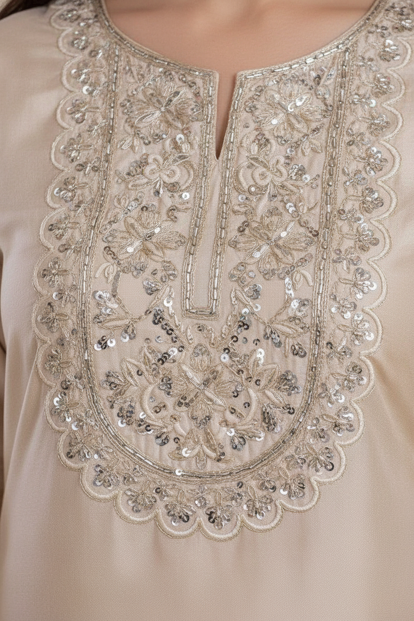 Embroidery Close-up 2:3 - Silver Zari Work on Cream Silk